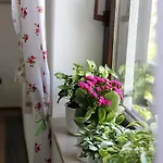 Apartment House