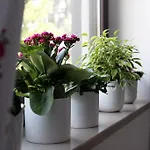 House * Medvode