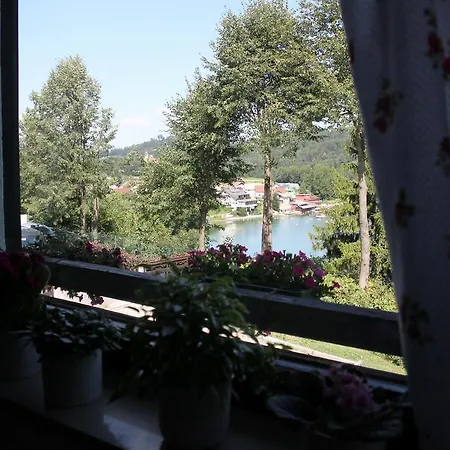 House Apartman Medvode