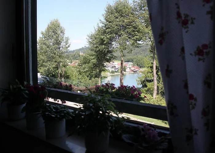 House Apartament Medvode